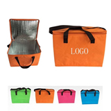 95 GSM Non-Woven Insulated Cooler Bag