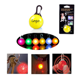 Clip - On LED Light