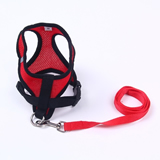 Dog Harnesses With Leash