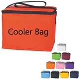 Large Zippered Insulated Picnic Cooler Bag