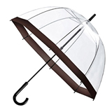 Transparent Umbrella